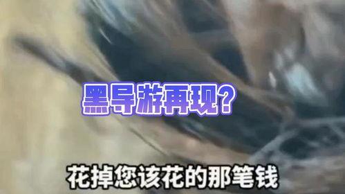 黑料是什么 社会热点的图片,社会热点背后的真相与争议